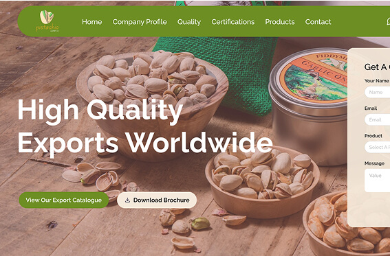 export business website design